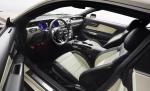Ford Mustang GT 50th Anniversary Edition 2015 года